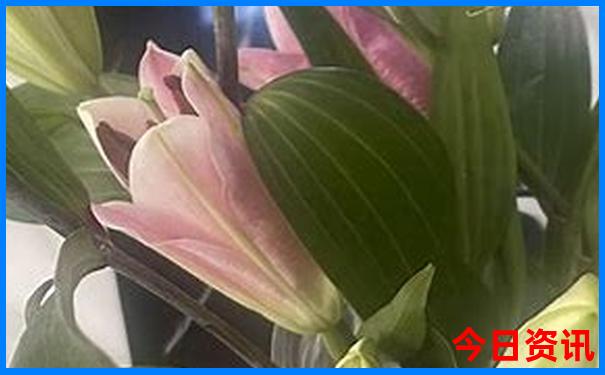 渠首景区有什么好玩的