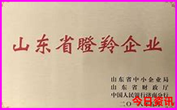 最精准一肖100%准确精准的含义